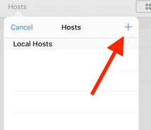 iPad Add Hosts